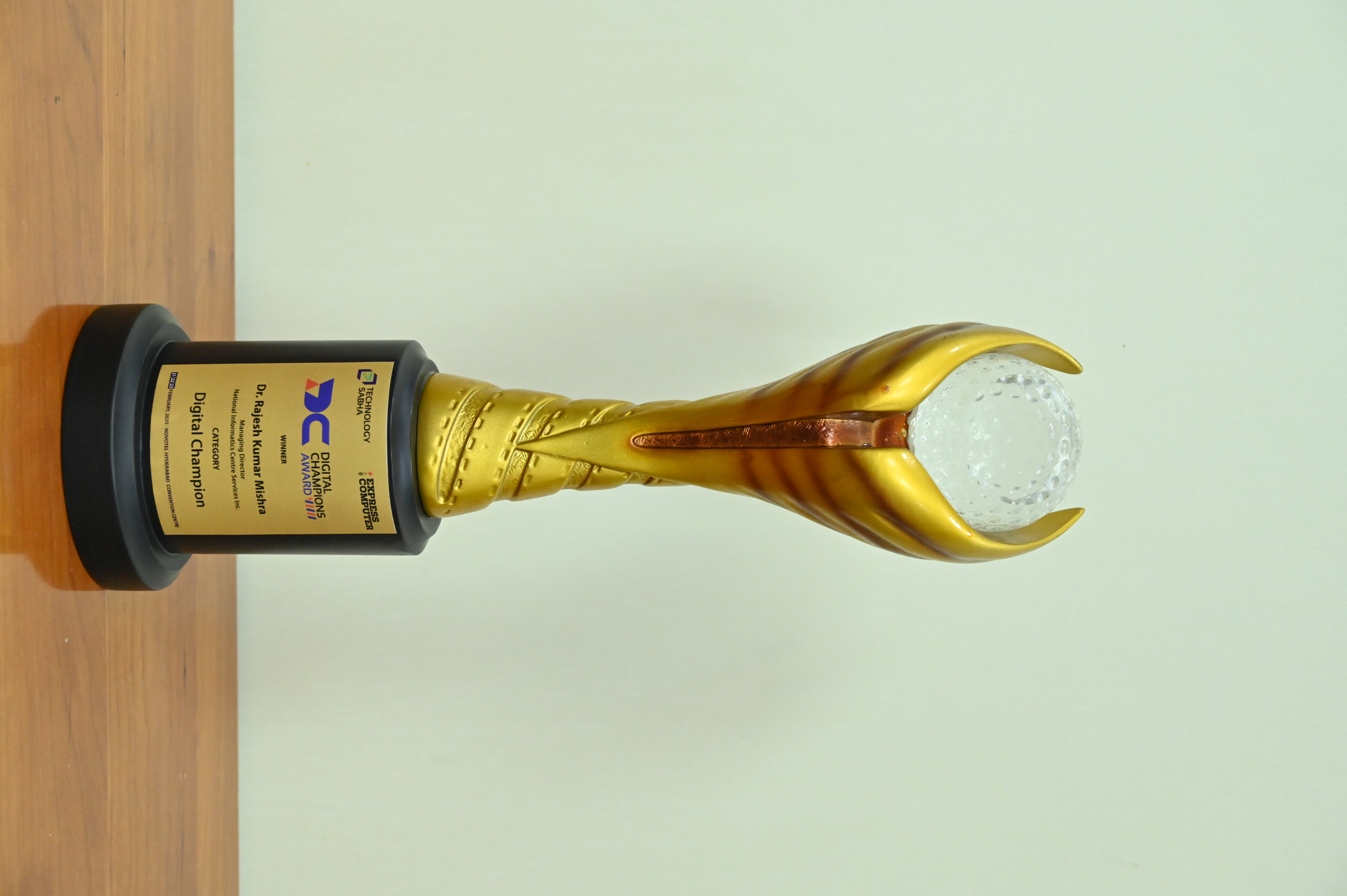 Digital Champions Award - Technology Sabha - award-docx-08.jpeg