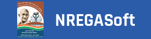 NREGAsoft